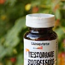 Herbazora Testosterone Booster