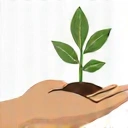 Hand holding a plant representing ethical sourcing